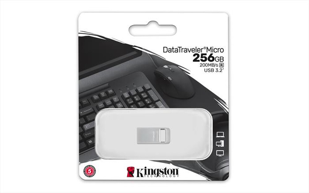 "KINGSTON - Memoria 256 GB DTMC3G2/256GB-SILVER"